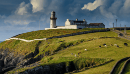 EuroDev-Ireland-PEO-EOR