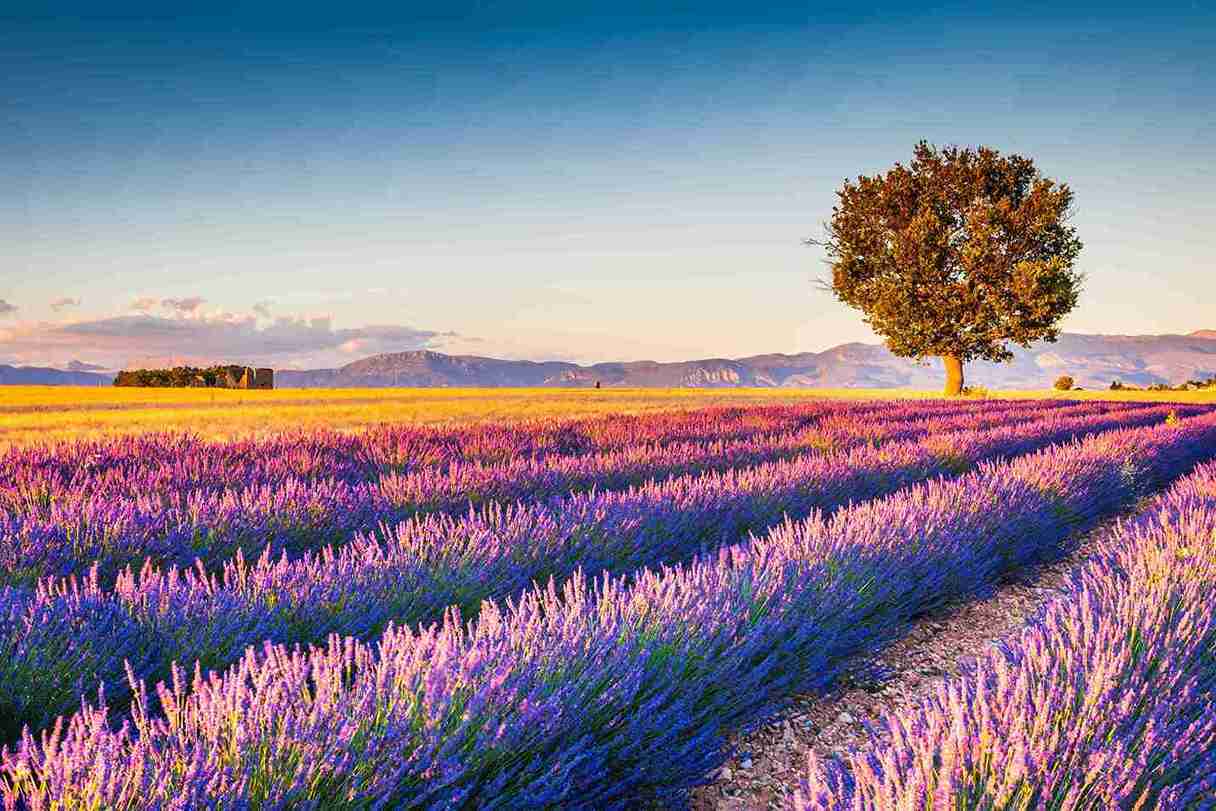 Signing-employment-contract-France