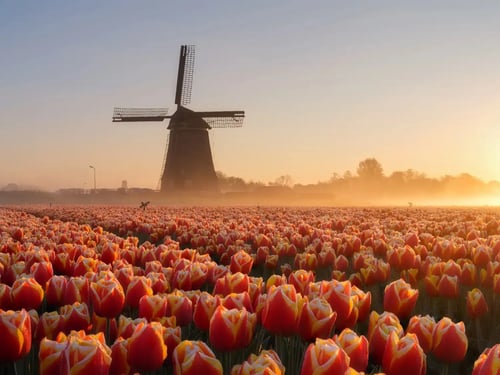 Netherlands