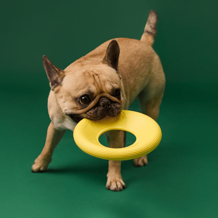 earth-rated-earth-rated-flyer-toy