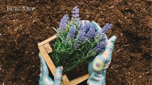 gardening market trends EU 2022