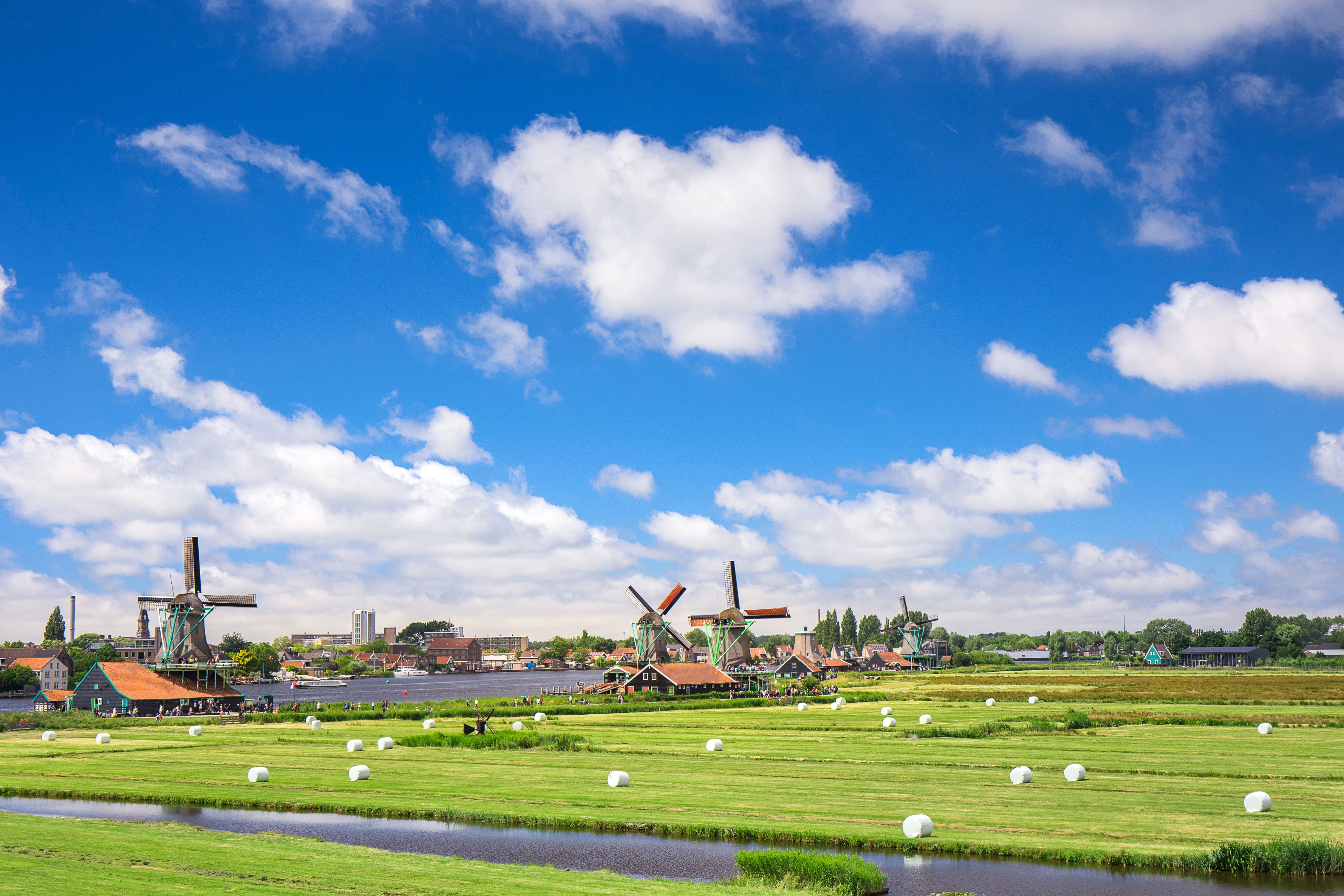 Typical Dutch Windmills in the middle of the field, EOR Netherlands 