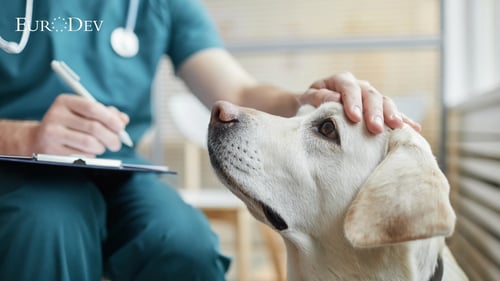 veterinary-market-trends-insights
